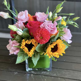 Mixed bouquet of pink, yellow, and red flowers in a square glass vase