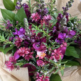 Moody Purples