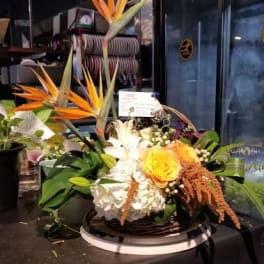 Dream high - Large arrangement