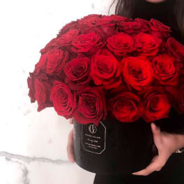 Love is Red