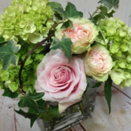 Short arrangement of pale pink roses and green hydrangeas in a clear glass cube vase with trailing ivy