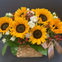 Sunflower arrangement in a woven basket with white roses and red berries