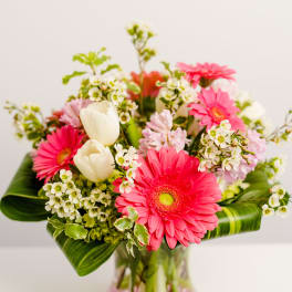 Pink gerbera daisies and white tulips in a glass vase