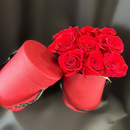Red roses in two red hat boxes on a dark background