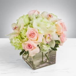 Pink roses and white orchids in a square glass vase