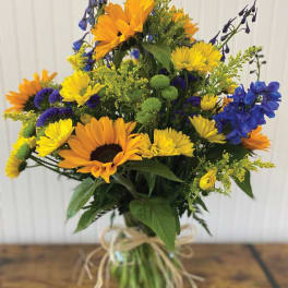Sunflower Garden