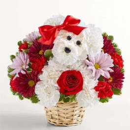 Flower basket arranged as a white dog with a red bow and rose nose