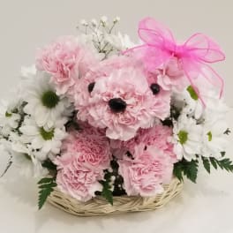 Pretty in Pink Pup