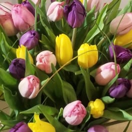 Bouquet of pink, purple, and yellow tulips