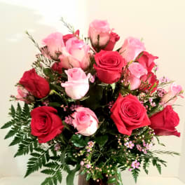 Roses - Pink and Red