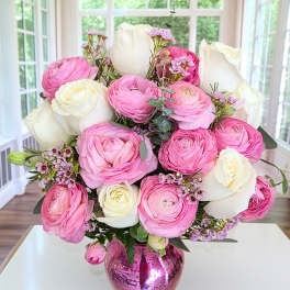 Ranunculus Soiree 