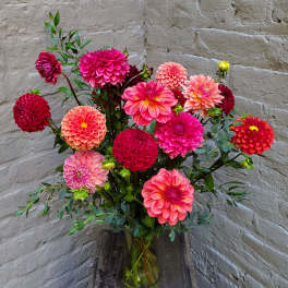Bouquet of bright pink and coral dahlias in a glass vase