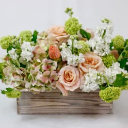 Peach roses and white flowers in a wooden box