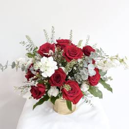 Timeless Love Premium Red Rose