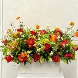 Red and orange roses with small white daisies in a white rectangular container