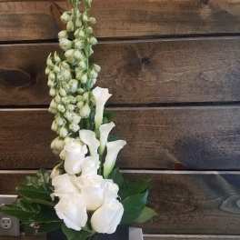 Simply White