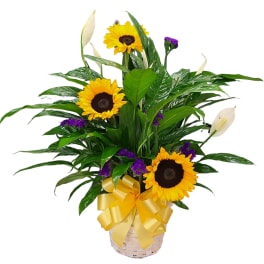 Plant & Flower Combo