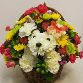 Basket arrangement with white and pink carnations and yellow daisies