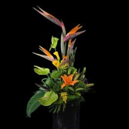 Tropical flower arrangement with orange bird-of-paradise and anthuriums in a dark vase