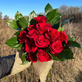 Handheld bouquet of red roses with green foliage wrapped in burlap