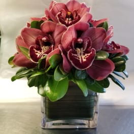 Pink orchids arranged in a square glass vase with glossy green leaves