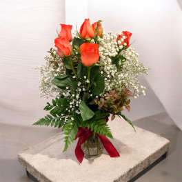 Half Dozen Special AR2601