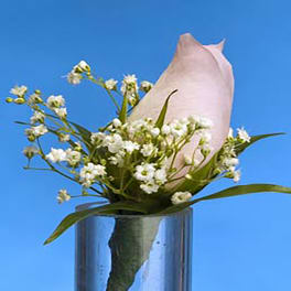 Single pale pink rosebud with small white filler flowers in a clear glass vase on a blue background