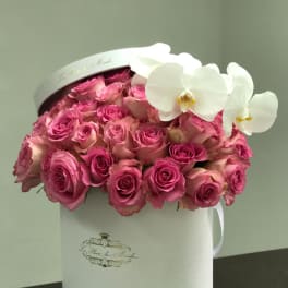 Pretty in Pink