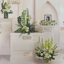 Tranquil Collection