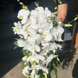 Large cascading bouquet of white orchids with green accents