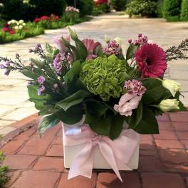 Spring Blush