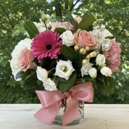 Cotton Candy