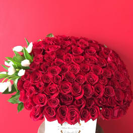 Large bouquet of red roses with white tulips in a white box