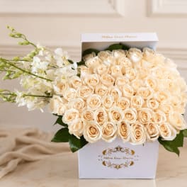 Cream roses in a white gift box with white orchids
