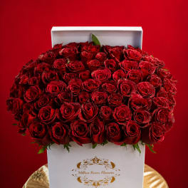 Box of red roses in a white gift box