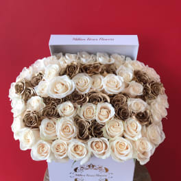 Boxed arrangement of cream and brown roses against a red background
