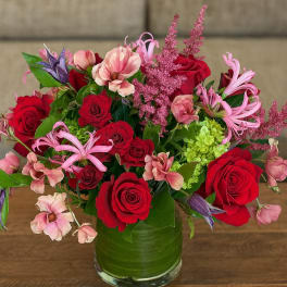 Velvety & Crimson Harmony