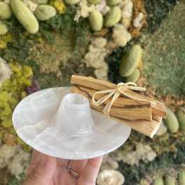 Hand holding a white shell dish with bundled wooden sticks