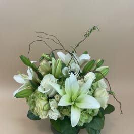 White lilies and roses arranged in a low vase with curved branches