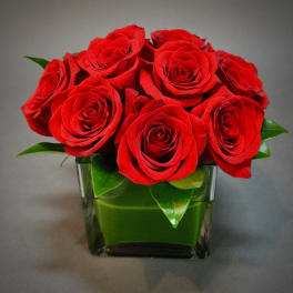 Red roses arranged in a square glass vase