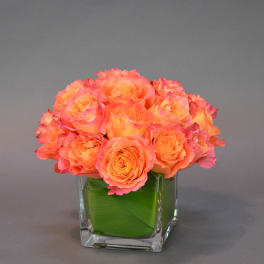 Orange roses arranged in a square glass vase