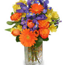 Blooms of Beauty