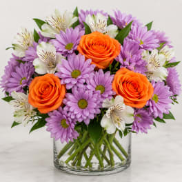 Citrus Lavender Delight