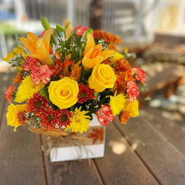 Autumn Present
