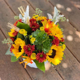 Fall Garden by Bee