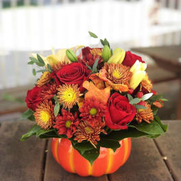 Autumn Pumpkin