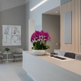 Magenta orchids arranged in a shallow white bowl on a counter