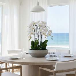 White orchids in a low bowl centerpiece on a dining table