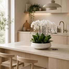 White Phalaenopsis Orchid Arrangement – 9 Stem Luxury Design
