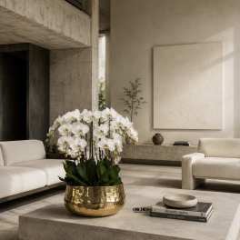 White Phalaenopsis Orchid Arrangement – 10 Stem Minimal Luxury